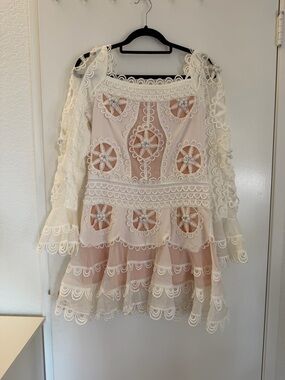 Embroidered Ivory & Blush Lace Mini Dress